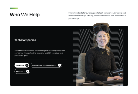Brand lines as a design tool