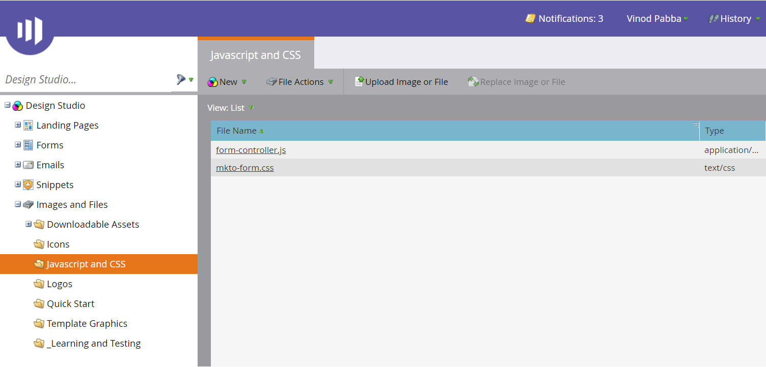 marketo javasciprt and CSS screen